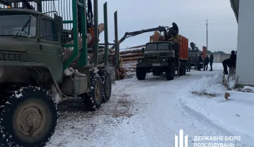 ДБР викрило на Волині незаконні вирубки деревини на мільйони гривень (1)