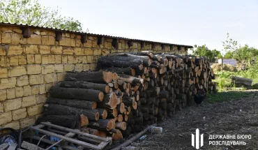 На Одещині ДБР викрило масштабну незаконну рубку дерев у нацпарку «Куяльницький» (2)