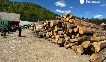 ДБР повідомило про підозру лісникам на Закарпатті, які завдали збитків довкіллю на понад 12 млн гривень (1)