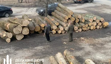 На Сумщині судитимуть посадовців лісгоспу, через яких держава втратила майже 11 млн гривень (2)