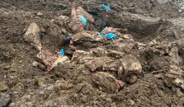 ДБР повідомило про підозру начальниці сховища, в якому зіпсувалося майже 8,5 тонн м’яса для військових (2)
