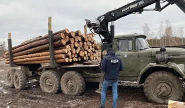 ліс рівне4