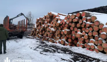 dbr-peredalo-v-upravlinnya-derzhavi-majzhe-500-kubometriv-sosni-vartistyu-ponad-1-2-mln-grn-2