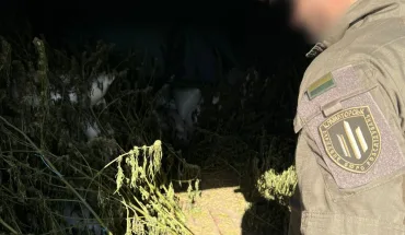 За матеріалами ДБР 6 років за ґратами проведуть два наркоділки (2)