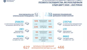 Кримінальні правопорушення у сфері лісового господарства, які розслідували слідчі ДБР у 2020-2021 роках