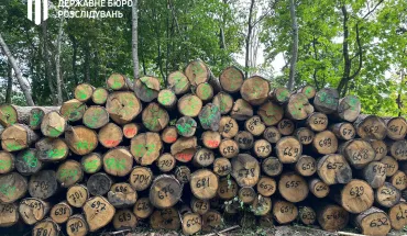 peredalo-v-upravlinnya-derzhavi-ponad-600-kubometriv-lisu-cinnih-porid-vartistyu-ponad-21-mln-grn-2