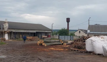 Золочівський лісгосп (2)