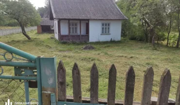 фото до новиниии (2)