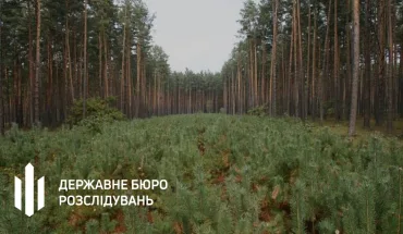 ДБР повідомило про підозру посадовцям лісової галузі Волині, які дозволили незаконні рубки на 21 млн гривень (2)