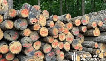 За матеріалами ДБР судитимуть директора Нацпарку та двох підприємців, які незаконно рубали дуби на заповідній території (2)