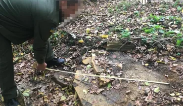 Сотні зрубаних дерев — на Вінниччині працівники лісгоспу відповідатимуть перед законом