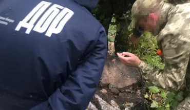 Незаконна порубка дерев на 6,6 млн грн збитків — судитимуть 7 посадовців лісомисливського господарства Львівщини