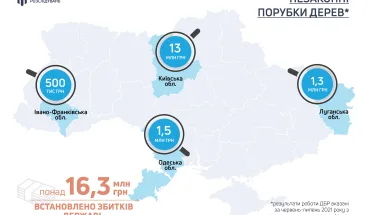 ДБР припинило незаконні порубки дерев у Київській, Луганській, Івано-Франківській та Одеській областях (ГРАФІКА)