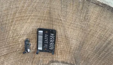 ДБР повідомило про підозру двом працівникам лісництв на Закарпатті (4)