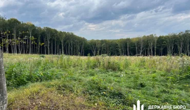 На Тернопільщині ДБР повідомило про підозру керівництву держлісгоспу через незаконні рубки на понад 56 млн гривень (1)