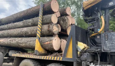 ДБР викрило злочинну групу лісників Буковини, які на незаконних порубках завдали державі збитків на 2 млн гривень (1)