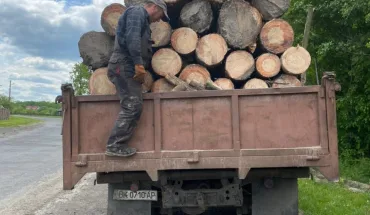 На Рівненщині ДБР затримало лісничого, який нелегально продавав деревину