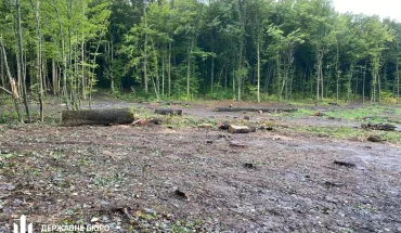 ДБР повідомило про підозру посадовцю лісової галузі Вінниччини, який завдав збитків на 50 млн гривень (1)