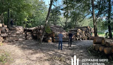 ДБР передало в управління держави понад 600 кубометрів лісу цінних порід вартістю понад 21 млн грн (4)