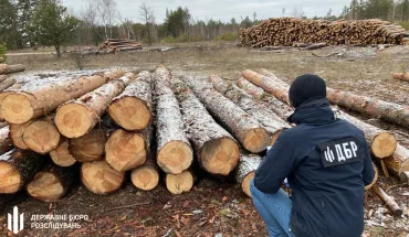 ДБР викрило незаконні порубки лісів на Вінниччині, Буковині та Рівненщині (1)