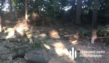 Незаконні порубки на понад 3 млн грн – на Вінниччині ДБР повідомили про підозру працівнику лісництва (ВІДЕО)