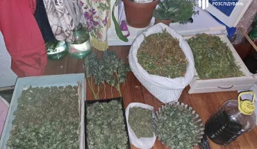 ДБР під час спецоперації на Одещині викрило виробництво канабісу з багатомільйонним оборотом (1)