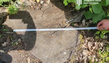 ДБР повідомило про підозру лісникам Вінниччини, які допустили збитки державі на 7 млн гривень (1)