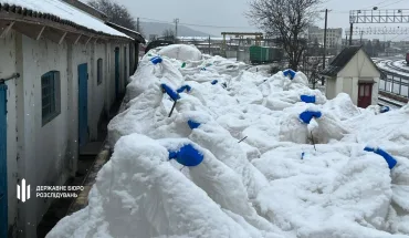 ДБР попередило незаконний вивіз російських міндобрив до самопроголошеного Придністров'я (3)