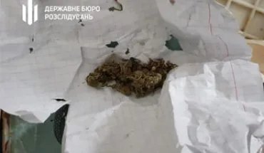 На Миколаївщині судитимуть експрацівника ДСНС, який вдома зберігав 1 кг канабісу