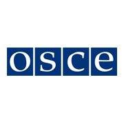 Координатор проєктів ОБСЄ в Україні